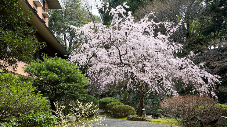 Hyatt Regency Kyoto